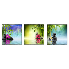  Vászonkép, 3 db-os szett, MEDIA, virágok1, 70 x 70 cm grafika, keretezett kép