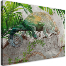  Vászonkép, Kaméleon a dzsungel ágán - 60x40 cm tapéta, díszléc és más dekoráció
