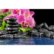  Vászonkép, MEDIA, Rózsaszín orchidea fekete kövekkel, 105 x 70 cm grafika, keretezett kép