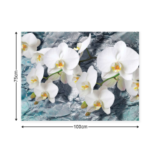 Vászonkép Orchidea 1 tapéta, díszléc és más dekoráció