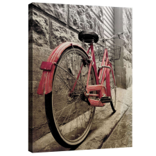  Vászonkép rózsaszín kerék tapéta, díszléc és más dekoráció