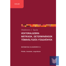 Vektoralgebra; mátrixok, determinánsok, többváltozós függvények. Matematikai olvasókönyv III. (2. kiadás) tankönyv