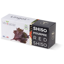 Véritable Lingot feketecsalán - BIO kerti tárolás