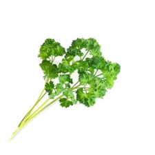 Véritable Lingot fodros metélőpetrezselyem - BIO dekoráció