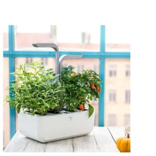 Véritable Potager Smart dekoráció