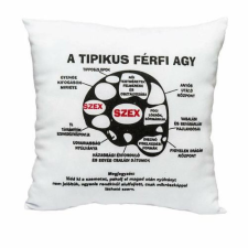  Vicces párna ”Férfi agy” ajándéktárgy