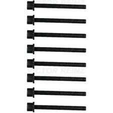 VICTOR REINZ hengerfejcsavar-készlet VICTOR REINZ 14-11653-01 autóalkatrész