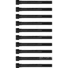 VICTOR REINZ Hengerfejcsavar készlet VICTOR REINZ 14-32356-01 kormányvezérlő és kiegészítői