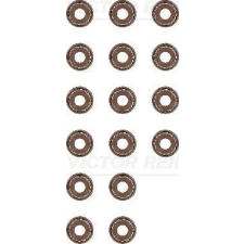 VICTOR REINZ Tömítéskészlet, szelepszár VICTOR REINZ 12-53036-01 autóalkatrész