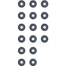 VICTOR REINZ Tömítéskészlet, szelepszár VICTOR REINZ 12-53129-01 autóalkatrész