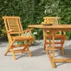 vidaXL 2 db tömör tíkfa összecsukható kerti szék 56 x 63 x 90 cm