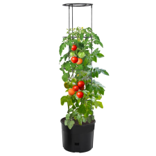 vidaXL antracitszürke polipropilén paradicsomtermesztő Ø39 x 150 cm kerti tárolás
