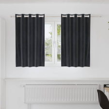 vidaXL Függönyök függönyökkel 2 pcs Sötétszürke 140 x 140 cm Bársony lakástextília