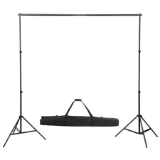 vidaXL Háttértartó Rendszer 300 cm világítás