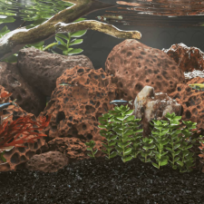 vidaXL Piros vulkanikus kőzetek 10-30 cm 10 kg akvárium dekoráció