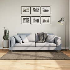 vidaXL szürke hosszú szálú fényes szőnyeg 120x170 cm lakástextília