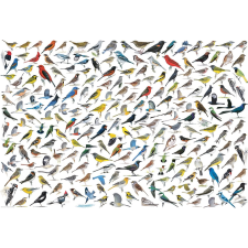 Világ madarai puzzle - 2000 darabos puzzle, kirakós