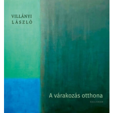 Villányi László - A várakozás otthona egyéb könyv