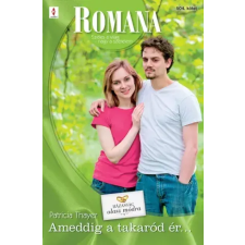 Vinton Romana 504. egyéb e-könyv