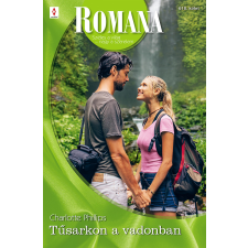 Vinton Romana 618. egyéb e-könyv