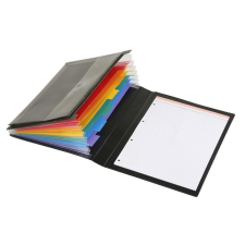 VIQUEL Harmonika mappa, PP, 6 rekeszes, VIQUEL &quot;Manager Rainbow Class&quot;, fekete mappa