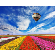  Virágmező felett léggömb tapéta, 350 x 200 cm tapéta, díszléc és más dekoráció