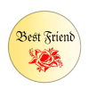  Virágos Best Friend kitűző