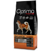 Visán Optimanova Dog Adult Sensitive Salmon &amp; Potato (2 x 12 kg) 24kg