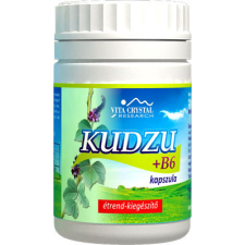Vita Crystal Kudzu kapszula 250 db vitamin és táplálékkiegészítő