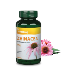 VitaKing Echinacea 250mg Bíbor kasvirág kapszula 90db vitamin és táplálékkiegészítő