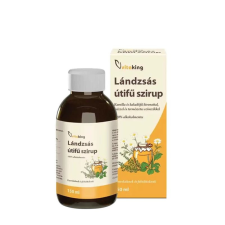 Vitaking Lándzsás Útifű szirup - 100ml vitamin és táplálékkiegészítő