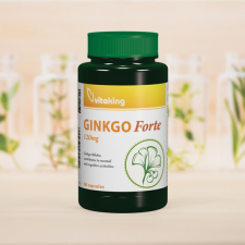 VitaKing Vitaking GINKGO BILOBA FORTE 120MG 60 db vitamin és táplálékkiegészítő