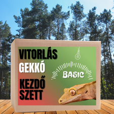  Vitorlás gekkó BASIC kezdőcsomag - bébi gekkóknak hüllőfelszerelés