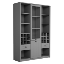  Vitrin W2D2S, szürke, PROVANCE bútor