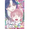 Viz Media Blue Box, Vol. 19 | V19