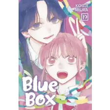 Viz Media Blue Box, Vol. 19 | V19 egyéb könyv