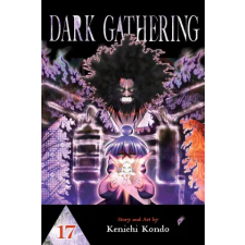 Viz Media Dark Gathering, Vol. 17 | V17 egyéb könyv
