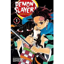 Viz Media Demon Slayer: Kimetsu no Yaiba, Vol. 1 | Koyoharu Gotouge egyéb könyv