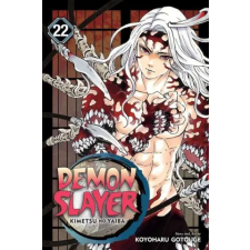 Viz Media Demon Slayer: Kimetsu no Yaiba, Vol. 22 | Koyoharu Gotouge egyéb könyv