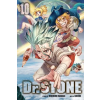 Viz Media Dr. STONE, Vol. 10 | Riichiro Inagaki,Boichi