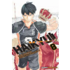 Viz Media Haikyu!!, Vol. 8 | Haruichi Furudate