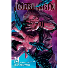 Viz Media Jujutsu Kaisen, Vol. 14 | Gege Akutami egyéb könyv