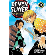 VIZ Media LLC Demon Slayer: Kimetsu no Yaiba (Volume 3) idegen nyelvű könyv