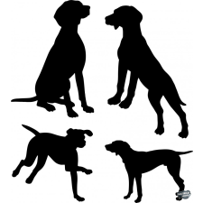 Vizsla matrica szett matrica