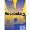  Vocabulary in Practice 3
