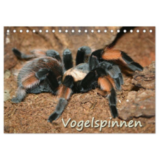  Vogelspinnen (Tischkalender 2026 DIN A5 quer), CALVENDO Monatskalender naptár, kalendárium