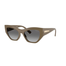 Vogue VO5607S 317511