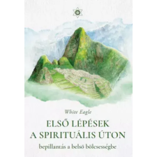 Voiz Első lépések a spirituális úton egyéb e-könyv