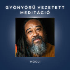 Voiz Gyönyörű vezetett meditáció ezotéria