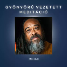 Voiz Gyönyörű vezetett meditáció egyéb e-könyv